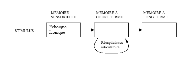 Figure 4 : Modèle séquentiel de la mémoire, d'après Atkinson et Shiffrin (1968)