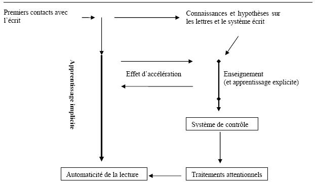 Figure 3 : L’apprentissage de la lecture: A simple view of learning to read (Gombert, 2003).