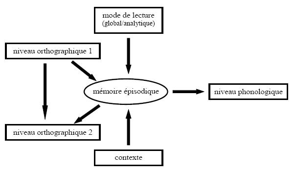 Figure 5 : Modèle de lecture des mots polysyllabiques d’après Rey (2004)