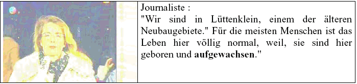 Figure 22 : journaliste à Lüttenklein (cédérom "Infolangue")