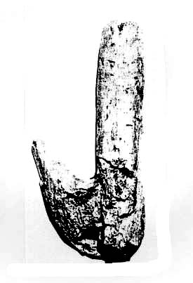 Fig. 59 : Crochet en os de tradition moustérienne découvert sur le site de bal Ighd