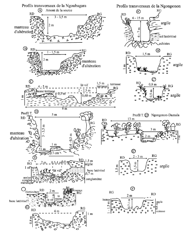 Figure 81 a