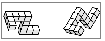 Figure 10 : Exemple de paire de stimuli utilisés par Shepard et Metzler 1971