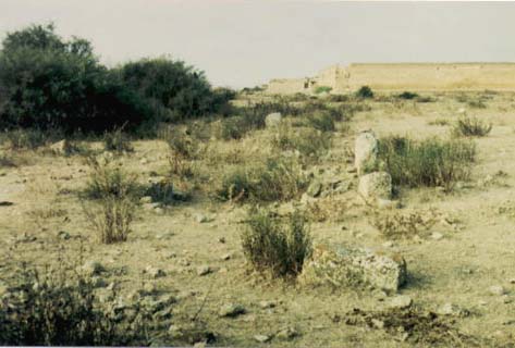 Fig. 106 : Al-Madna 