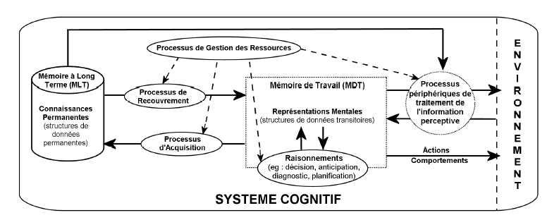 Figure 14 : Architecture cognitive élémentaire du système cognitif humain conçu comme un système de traitement de l'information (Bellet 1998)