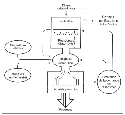 Figure 17 : Modèle de distribution des ressources attentionnelles, d’après Reed 199