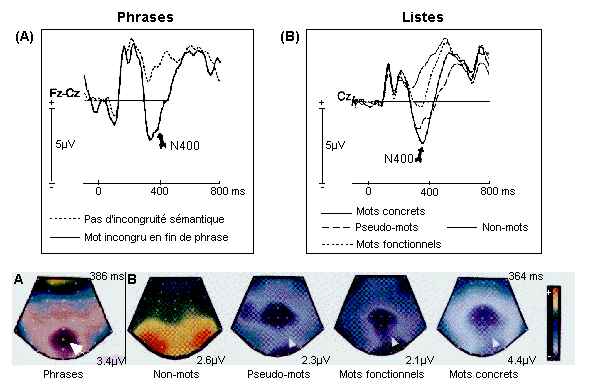 message URL fig35.gif