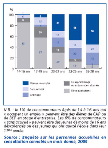 Figure 8, Situation scolaire ou professionnelle des usagers âgés de 14 à 28 ans (n=2489)