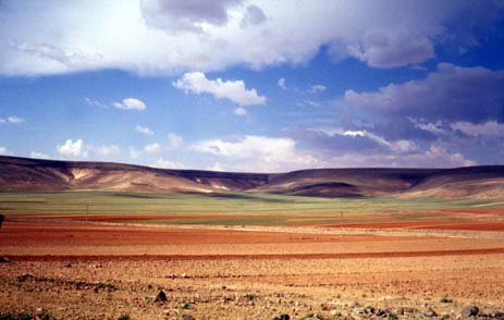 Planche 2 A - Vallée de Samâd (Jabal al-Has) : sols rouges et culture pluviale