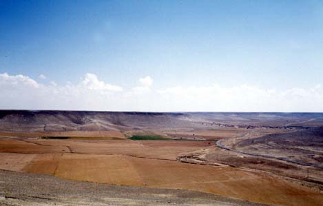 Planche 2 C - Aperçu du fond de la vallée de Qli'ât, Jabal Shbayth