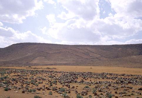 Planche 10 B - Grands enclos de versant dans la vallée de Al-Qli'ât
