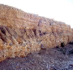 Planche 11 A - Terrasse holocène ancien (Q0a) sur le calcaire "crayeux" éocène (piémont du Jabal Shbayth)
