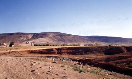 Planche 11 D - Cône holocène (Q0) incisé par un oued (piémont du Jabal al-Has)