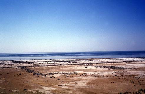 Planche 12 A - Salines (?) romano-byzantines sur la berge ouest du lac Jabbûl