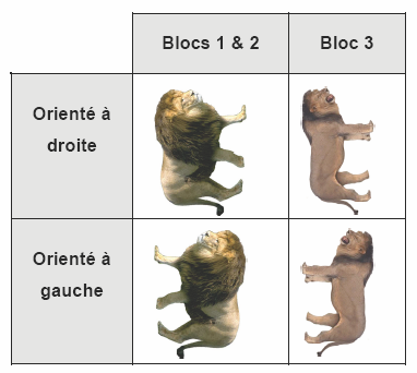 Tableau 2 : Exemple de distinction entre les Blocs 1 et 2 et le bloc 3