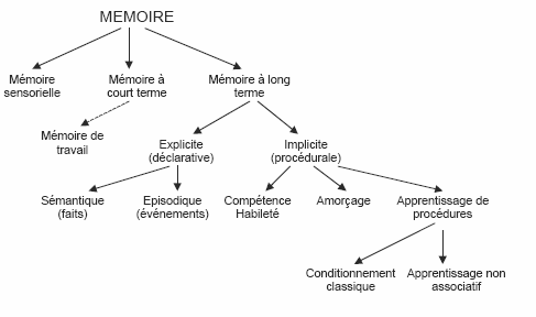 Figure 1 : Synthèse de l'architecture de la mémoire