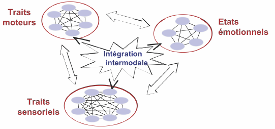 Figure 20 : Architecture d’un modèle épisodique et multidimensionnel de la mémoire à long terme