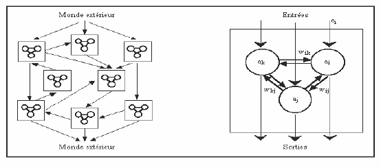 Figure 9 : Modèle PDP proposé par McClelland et Rumelhart (1986)