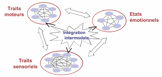 Figure 10 : Architecture d’un modèle épisodique et multidimensionnel de la mémoire à long terme (Versace, Nevers et Padovan, 2002)