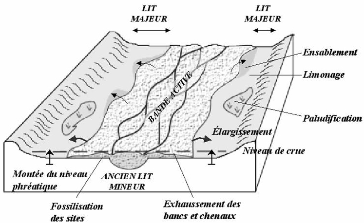 Fig. 5. Processus géomorphologiques affectant l’enveloppe fluviale dans une période de crise hydroclimatique