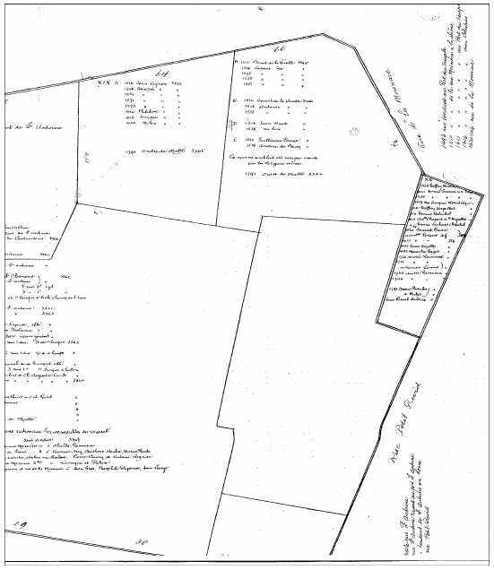 Carte : Localisation du local commercial et de l’habitation des Duplain rue Mercière