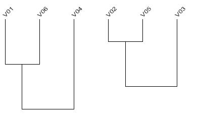 Figure 19 : Exemple d’un arbre des similarités