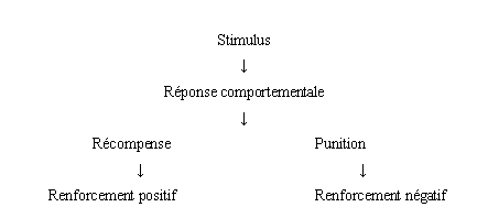 Tableau 2 : Notion de contraste affectif dans la théorie des processus opposants (R.L. Solomon)