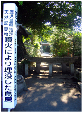 Photo 7-8 – Sanctuaire enseveli par les lahars à Kurokami (Sakurajima)