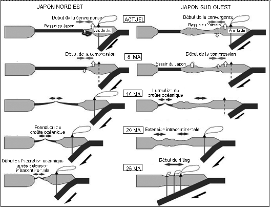 Figure 2-1 – Différenciation de la subduction du nord au sud de l’archipel et évolution depuis le rifting de la mer du Japon