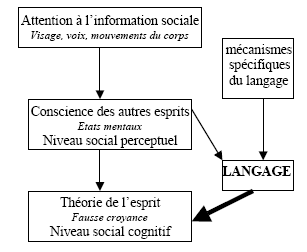 Figure 9 : Schéma de l’acquisition de la théorie de l’esprit représentationnelle (Tager-Flusberg & Joseph, 2003)