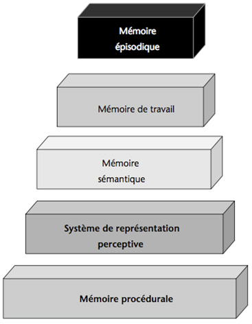 Figure 1. Organisation par « emboîtement » des systèmes de mémoire selon Tulving (1995). Illustration provenant de l’article de Martins, Guillery-Girard et Eustache (2006).