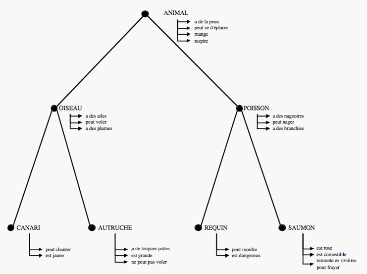 Figure 2. Organisation des connaissances sémantiques sous forme de réseau de concepts, proposée par Collins et Quillian (1969).