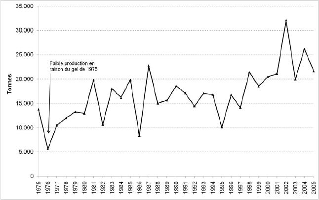 Figure 41. Production de café au Brésil, entre 1975 et 2005. On observe la chute de production résultant du gel de 1975. Source : CIC, 2007.