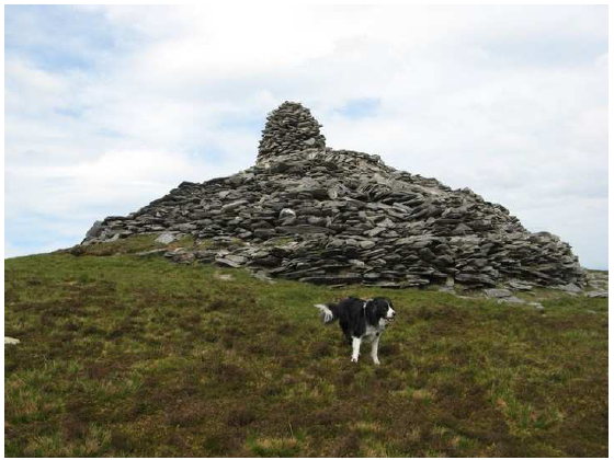 Fig. 4: Summit of one of the hills called 