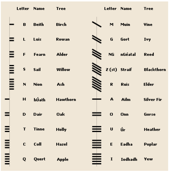 Fig. 3: The Ogam Alphabet and its corresponding letters and tree names in Irish and English. Melmoth, 1996-1997, p. 14.