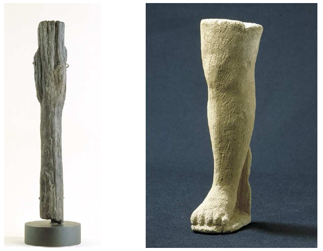 Fig. 20: Anatomic ex-votos*: an arm in wood (left) and a leg in stone (right) (Sources-de-la-Seine). Source: Musée Archéologique de Dijon.