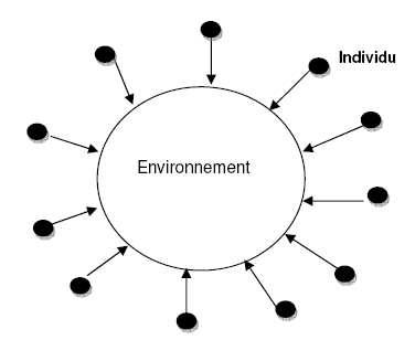 Figure 69 : La relation individu/environnement dans l’écocivisme