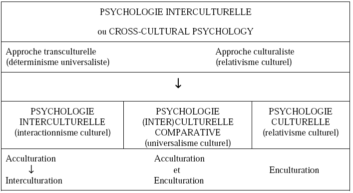 Tableau 1°. Organigramme des approches du rapport psychisme/culture.Adapté de B. Troadec 1999