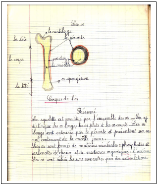 Figure 5 : Page extraite d'un cahier d'observations de CM2 (Année 1964 – 1965) Collection personnelle