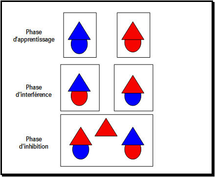 Figure 2 : Matériel composant le test d'inhibition.