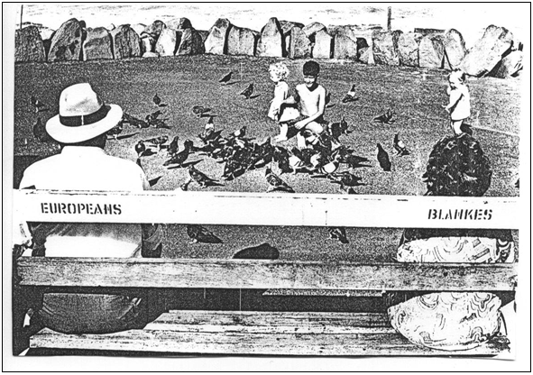 Photo 1 : Illustration du « petty apartheid » : banc réservé aux Sud-Africains blancs