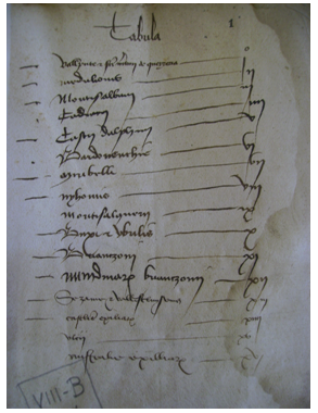Doc. 12. Table des matières du registre de 1460 concernant l'Embrunais, le Gapençais et le Briançonnais