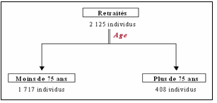 Schéma 25 : Branche de la typologie individuelle correspondant aux retraités lyonnais