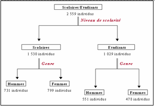 Schéma 18 : Branche de la typologie individuelle correspondant aux scolaires et étudiants poblanais