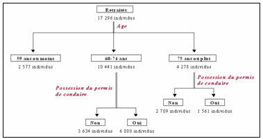 Schéma 30 : Branche de la typologie individuelle correspondant aux retraités montréalais 