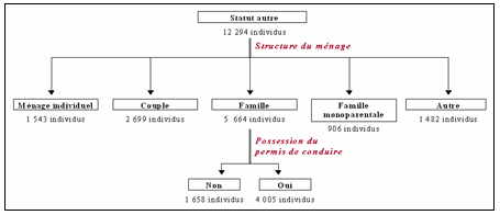 Schéma 29 : Branche de la typologie individuelle correspondant aux montréalais de statut codé 