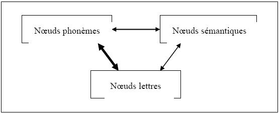 Figure 3 : Représentation schématique des trois familles de nœuds activées lors de la présentation d’un mot écrit, d’après Bosman & Van Orden (1998).