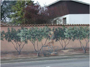 Photo 29: Vergers sur une fresque murale