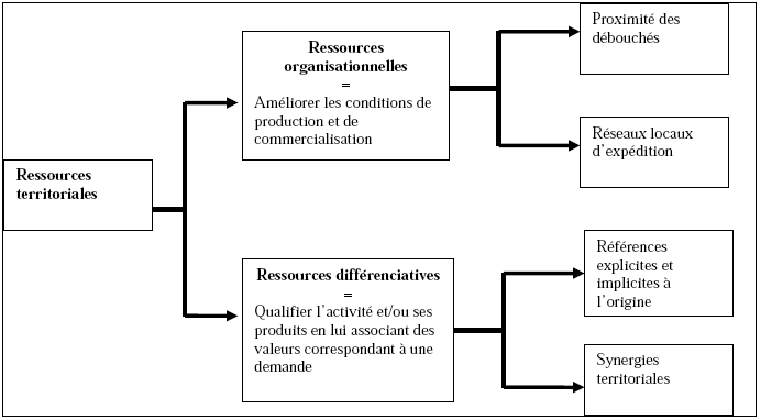 Figure 23: Les types de ressources territoriales identifiées
