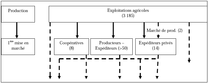 Figure 6: Zoom sur les opérateurs de la production et de la première mise en marché